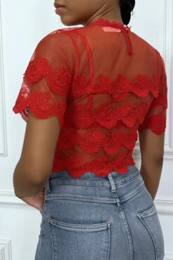 Crop Top Rouge En Dentelle Et Voilage